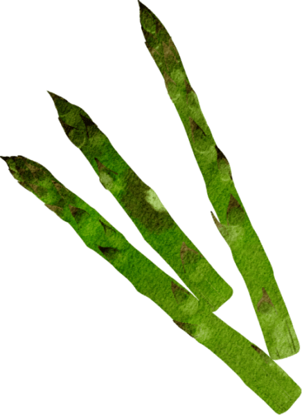 illu asparagus
